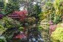 Japanese garden at the home of Terry and Dawn Heaver in St Ives, Dorset.