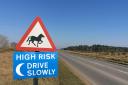 The B3054 Lymington to Dibden road has been named as the worst route in the New Forest for animal accidents