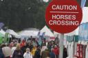 New Forest District Council (NFDC) will focus on climate change awareness at its stand at the New Forest Show this year.