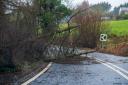 Drivers have been warned to watch out for debris and fallen trees.