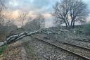 Trees have fallen on train tracks affecting SWR services.