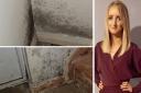 Cheryl Lowe and her three children have been living in a house infested with mould for the last two years.
