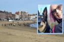 Weymouth Beach and Linda Stevenson with her dog Images: Newsquest/Supplied