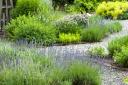 Undated Handout Photo of a herb garden. See PA Feature GARDENING Advice Herb. Picture credit should read: Thinkstock/PA. WARNING: This picture must only be used to accompany PA Feature GARDENING Advice Herb..