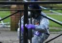 A third suspect has been charged  in relation to the Salisbury Novichok attack, but what happened?