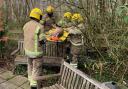 Firefighters came to the rescue of a deer in Verwood  Picture: DWFRS/Verwood Fire Station