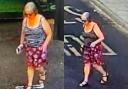 CCTV images of the woman. Credit: Salisbury Police