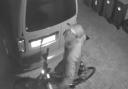 CCTV image of man viewing the van
