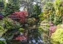 Japanese garden at the home of Terry and Dawn Heaver in St Ives, Dorset.