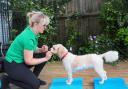 Claire Johnston is a pet physiotherapist