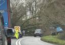 A fallen tree is blocking the A338.