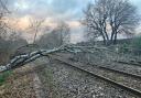Trees have fallen on train tracks affecting SWR services.