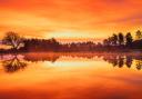 Hang Ross shared this beautiful New Forest sunrise