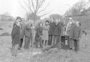 Salisbury City Lands Committee tree planting, March 6, 1974.