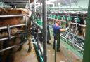 Fair trade needed for dairy farmers too