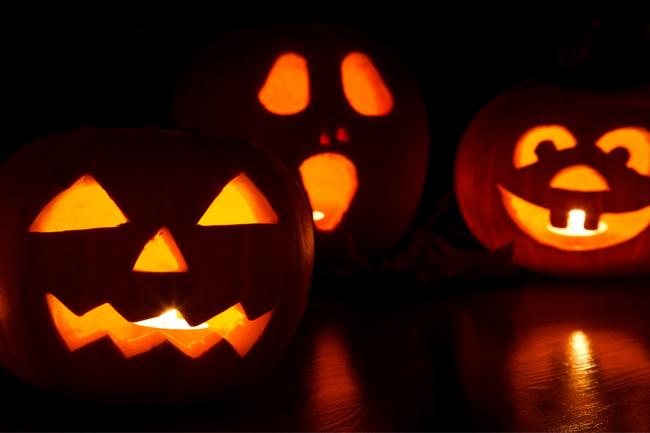 Pumpkins are a staple of Halloween decorations across the country, with Jack O Lanterns in windows, doorways and gardens wherever you look.