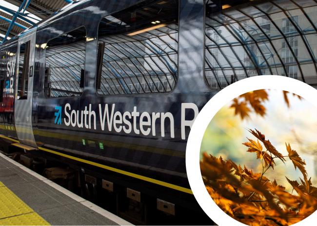 Delays and cancellations are to be expected in the lines around Salisbury today due to 'autumn leaf fall'.