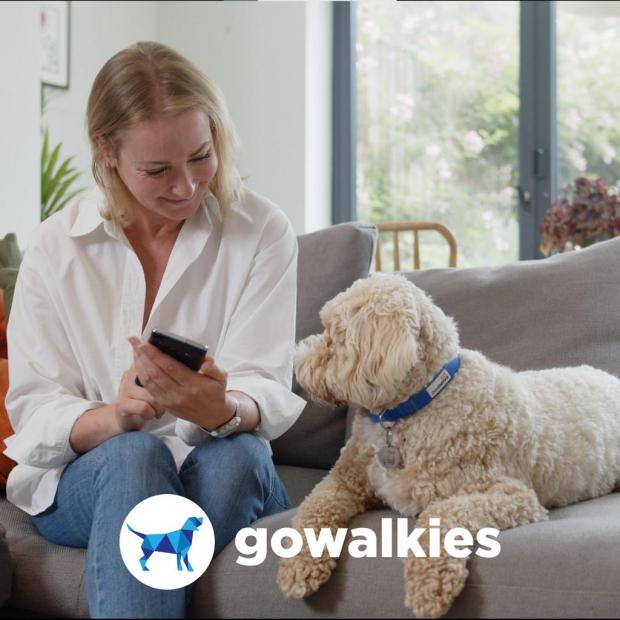Salisbury Journal: GoWalkies is quick and easy to use from both the walkers and owners perspective. (GoWalkies)