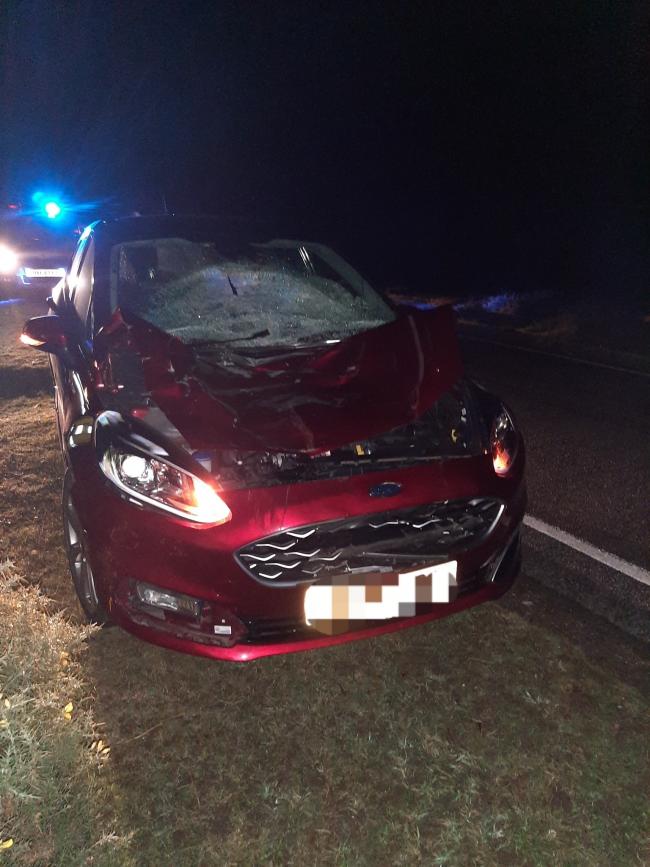A horse was killed after a collision on Roger Penny Way  Picture: Ringwood Police Facebook