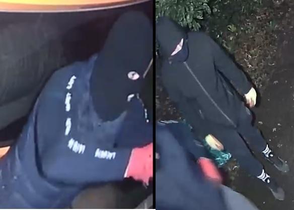 Officers have released images of two people that they would like to speak to in connection with a series of burglaries in Ringwood and Dorset.