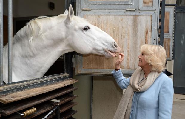 Salisbury Journal: Camilla was a down-to-earth Sussex girl who grew up with a love of horses. Picture: PA