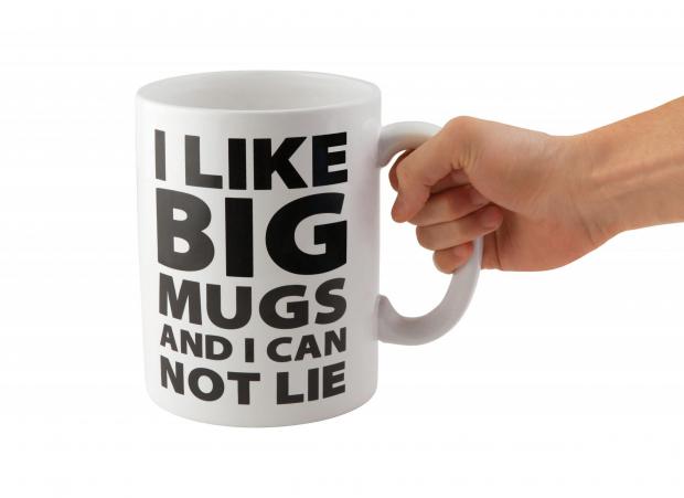 Salisbury Journal: I Like Big Mugs Giant Mug. Credit: Menkind