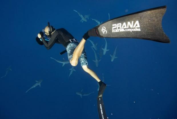 Salisbury Journal: Snorkel with sharks in Hawaii with One Ocean Diving. Credit: Tripadvisor