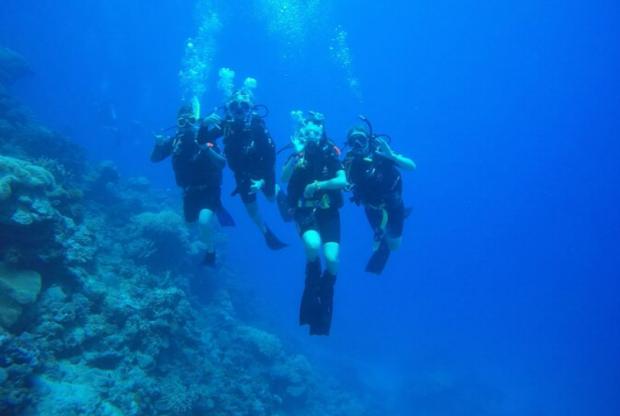 Salisbury Journal: 12-Day Great Barrier Reef Marine Conservation Program from Cairns. Credit: Tripadvisor