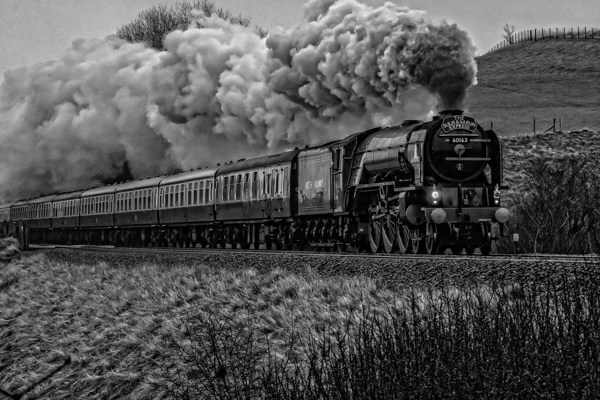 First place: Steam Loco ‘Tornado’ in the Wylye Valley at Steeple Langford By Terry Waldron