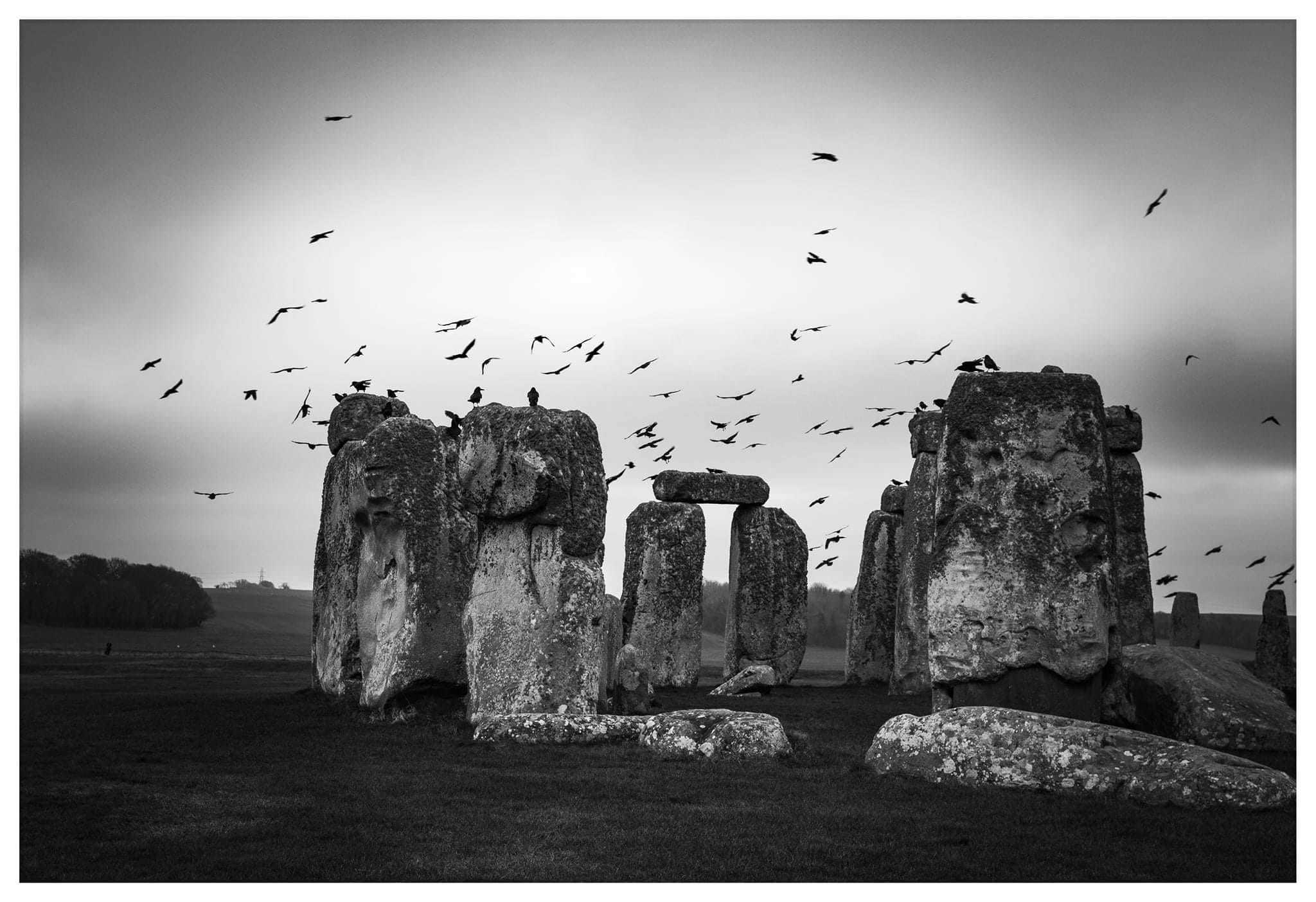 Second place: Different Stonehenge visitors By Stuart Sneddon