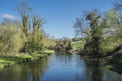 Salisbury Journal: The River Avon runs through Amesbury. Picture: Sustainable Amesbury