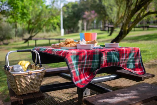Salisbury Journal: A picnic laid out on a bench. Credit: Canva