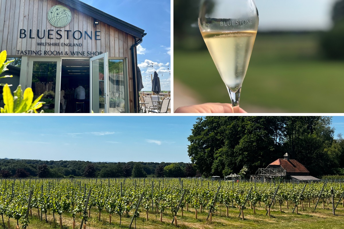 Vineyard in Cholderton encourages people to visit during English Wine Week - Vimarsana News