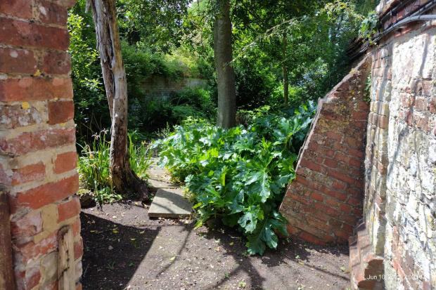 The entrance into the walled community garden site at Arundells
Image by: Rebecca Twigg