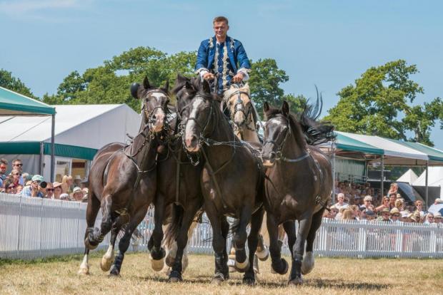 Salisbury Journal: This year's New Forest Show will feature daily appearances by Atkinson Action Horses.