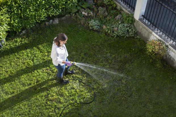 Woman using her hosepipe in a garden. Photo: Getty.