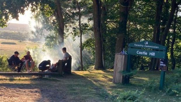 Salisbury Journal: Ringwood Police has urged people not to use barbecues at beauty spot 