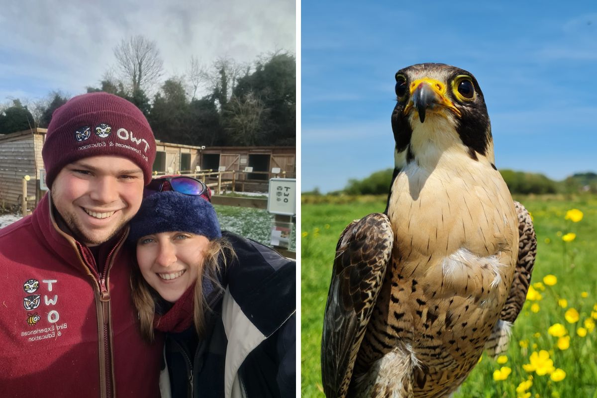 Two Bird Experiences to leave River Bourne Community Farm, Laverstock - Vimarsana News