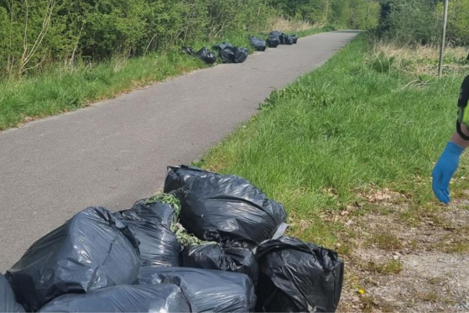 Wiltshire Police find bags of cannabis dumped in Tidworth 