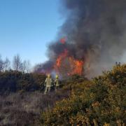 Last year’s Wareham Forest fire. Picture: Dorset and Wiltshire Fire and Rescue Service