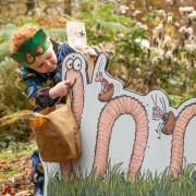 The Superworm Trail at Moors Valley Country Park and Forest  Pictures: Forestry England