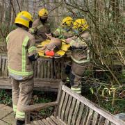 Firefighters came to the rescue of a deer in Verwood  Picture: DWFRS/Verwood Fire Station