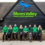 The Moors Valley Country Park and Forest team