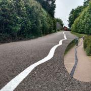 This squiggly pathway line caused quite the stir on social media
