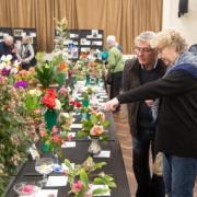 (Photo by Verwood and District Horticultural Society)