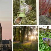 The winners of April's Salisbury Journal Camera Club competition