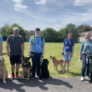 Salisbury & District Guide Dogs Group Branch 951