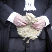 Barrister (Stock image)