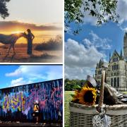 The best five photos taken by the Salisbury Journal Camera Club this week