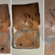 A 500-year-old tile with a paw print found at Salisbury Museum during ongoing renovation works.